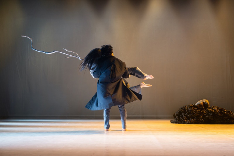 Baila España: Wonderground – Momentum