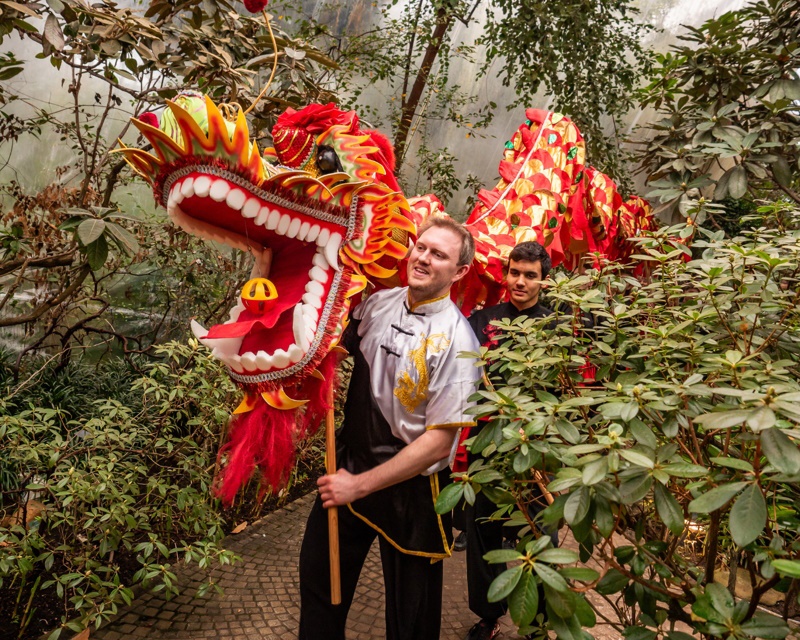 Chinesisches Neujahrsfest