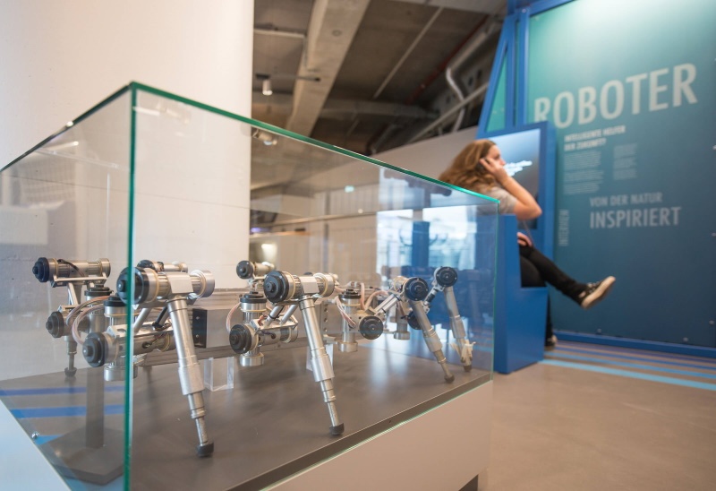 Nordbord Bremen – Science Club im Universum: Tierische Tricks und pflanzliche Phänomene